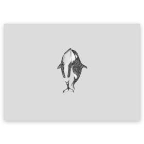 Поздравительная открытка с принтом Киты в Курске, 100% бумага | плотность бумаги 280 г/м2, матовая, на обратной стороне линовка и место для марки
 | Тематика изображения на принте: арт | касатка | касатки | кит | море | океан | рисунок | узор