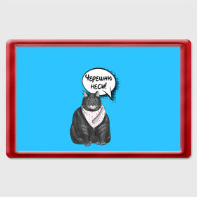 Магнит 45*70 с принтом Толстый кот в Курске, Пластик | Размер: 78*52 мм; Размер печати: 70*45 | Тематика изображения на принте: еда | кот | кушать | мем | черешня