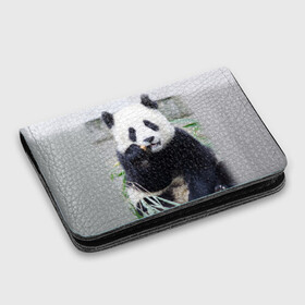 Картхолдер с принтом с принтом Большая панда в Курске, натуральная матовая кожа | размер 7,3 х 10 см; кардхолдер имеет 4 кармана для карт; | Тематика изображения на принте: бамбук | белый | джунгли | дикое | животное | китай | лес | медведь | черный
