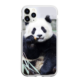 Чехол для iPhone 11 Pro Max матовый с принтом Большая панда в Курске, Силикон |  | бамбук | белый | джунгли | дикое | животное | китай | лес | медведь | черный