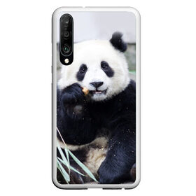 Чехол для Honor P30 с принтом Большая панда в Курске, Силикон | Область печати: задняя сторона чехла, без боковых панелей | бамбук | белый | джунгли | дикое | животное | китай | лес | медведь | черный