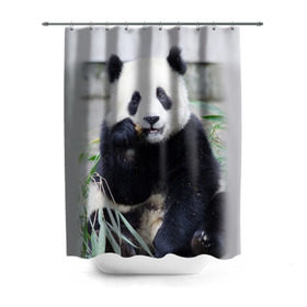 Штора 3D для ванной с принтом Большая панда в Курске, 100% полиэстер | плотность материала — 100 г/м2. Стандартный размер — 146 см х 180 см. По верхнему краю — пластиковые люверсы для креплений. В комплекте 10 пластиковых колец | бамбук | белый | джунгли | дикое | животное | китай | лес | медведь | черный
