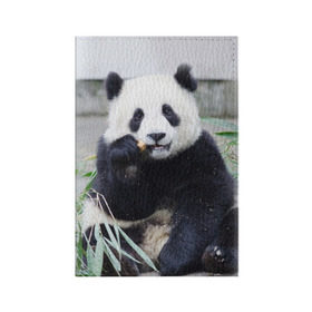 Обложка для паспорта матовая кожа с принтом Большая панда в Курске, натуральная матовая кожа | размер 19,3 х 13,7 см; прозрачные пластиковые крепления | Тематика изображения на принте: бамбук | белый | джунгли | дикое | животное | китай | лес | медведь | черный