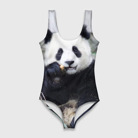 Купальник-боди 3D с принтом Большая панда в Курске, 82% полиэстер, 18% эластан | Круглая горловина, круглый вырез на спине | бамбук | белый | джунгли | дикое | животное | китай | лес | медведь | черный
