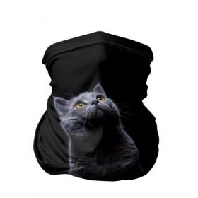 Бандана-труба 3D с принтом Милый котик в Курске, 100% полиэстер, ткань с особыми свойствами — Activecool | плотность 150‒180 г/м2; хорошо тянется, но сохраняет форму | кот | котенок | кошка | милый | пушистый | черный