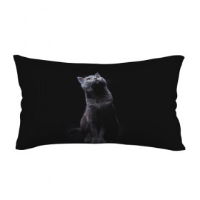 Подушка 3D антистресс с принтом Милый котик в Курске, наволочка — 100% полиэстер, наполнитель — вспененный полистирол | состоит из подушки и наволочки на молнии | кот | котенок | кошка | милый | пушистый | черный