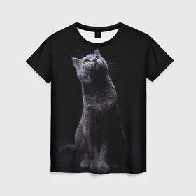Женская футболка 3D с принтом Милый котик в Курске, 100% полиэфир ( синтетическое хлопкоподобное полотно) | прямой крой, круглый вырез горловины, длина до линии бедер | кот | котенок | кошка | милый | пушистый | черный