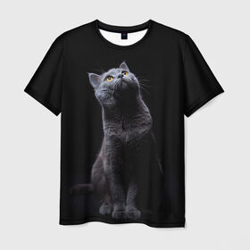 Мужская футболка 3D с принтом Милый котик в Курске, 100% полиэфир | прямой крой, круглый вырез горловины, длина до линии бедер | кот | котенок | кошка | милый | пушистый | черный