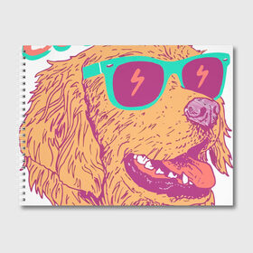 Альбом для рисования с принтом cool boi в Курске, 100% бумага
 | матовая бумага, плотность 200 мг. | Тематика изображения на принте: dog | дог | круто | лето | очки | песики | пляж | собаки