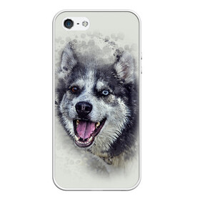 Чехол для iPhone 5/5S матовый с принтом Хаска в Курске, Силикон | Область печати: задняя сторона чехла, без боковых панелей | животные | пес | собака | хаска