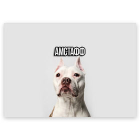 Поздравительная открытка с принтом Стаффордшир в Курске, 100% бумага | плотность бумаги 280 г/м2, матовая, на обратной стороне линовка и место для марки
 | Тематика изображения на принте: пес | питбуль | собака | стафф | стаффордширский терьер