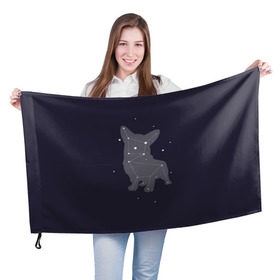 Флаг 3D с принтом Корги в Курске, 100% полиэстер | плотность ткани — 95 г/м2, размер — 67 х 109 см. Принт наносится с одной стороны | corgi | dog | dogs | корги | пес | порода | собака | щенки | щенок