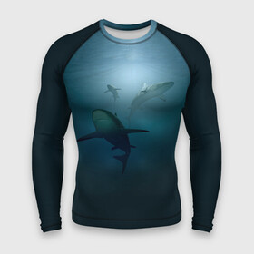 Мужской рашгард 3D с принтом Акулы в Курске,  |  | море | океан | подводный мир | рыба | хищник