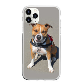 Чехол для iPhone 11 Pro Max матовый с принтом Стаффордшир в Курске, Силикон |  | Тематика изображения на принте: животные | пес | питбуль | природа | собака | стафф | стаффордшир | стаффордширский терьер