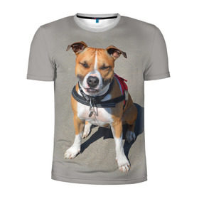 Мужская футболка 3D спортивная с принтом Стаффордшир в Курске, 100% полиэстер с улучшенными характеристиками | приталенный силуэт, круглая горловина, широкие плечи, сужается к линии бедра | животные | пес | питбуль | природа | собака | стафф | стаффордшир | стаффордширский терьер