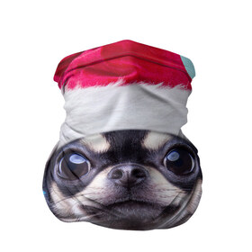 Бандана-труба 3D с принтом рождество в Курске, 100% полиэстер, ткань с особыми свойствами — Activecool | плотность 150‒180 г/м2; хорошо тянется, но сохраняет форму | dog | happy new year | бантик | взгляд | глаза | новый год | пинчер | праздник | санта клаус | собака | той терьер