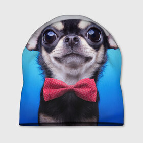 Шапка 3D с принтом рождество в Курске, 100% полиэстер | универсальный размер, печать по всей поверхности изделия | dog | happy new year | бантик | взгляд | глаза | новый год | пинчер | праздник | санта клаус | собака | той терьер