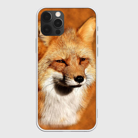 Чехол для iPhone 12 Pro Max с принтом Лисичка в Курске, Силикон |  | Тематика изображения на принте: животные | зверь | лиса | лисичка | природа | рыжая | фыр