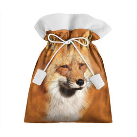 Подарочный 3D мешок с принтом Лисичка в Курске, 100% полиэстер | Размер: 29*39 см | животные | зверь | лиса | лисичка | природа | рыжая | фыр