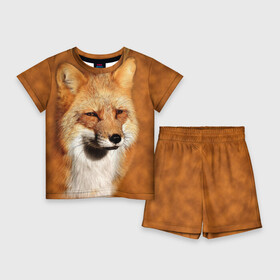 Детский костюм с шортами 3D с принтом Лисичка в Курске,  |  | животные | зверь | лиса | лисичка | природа | рыжая | фыр