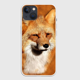 Чехол для iPhone 13 с принтом Лисичка в Курске,  |  | животные | зверь | лиса | лисичка | природа | рыжая | фыр