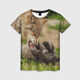 Женская футболка 3D с принтом Волки в Курске, 100% полиэфир ( синтетическое хлопкоподобное полотно) | прямой крой, круглый вырез горловины, длина до линии бедер | волк | волки | животные | злость | оскал | рык | собака | хищник