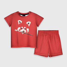 Детский костюм с шортами 3D с принтом Красная панда в Курске,  |  | енот | кисть | лиса | малая панда | художник