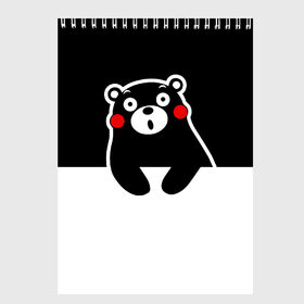 Скетчбук с принтом KUMAMON в Курске, 100% бумага
 | 48 листов, плотность листов — 100 г/м2, плотность картонной обложки — 250 г/м2. Листы скреплены сверху удобной пружинной спиралью | Тематика изображения на принте: japanese | kumamon | kumamoto | аниме | игрушка | кумамон | кумамото сапурайдзу | персонаж | талисман | япония