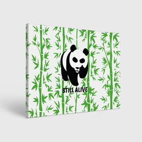 Холст прямоугольный с принтом Still Alive в Курске, 100% ПВХ |  | alive | bamboo | green | greenpeace | panga | peace | still | бамбук | грин | гринпис | живая | живой | зеленый | мир | панда | панды | пис