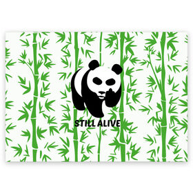 Поздравительная открытка с принтом Still Alive в Курске, 100% бумага | плотность бумаги 280 г/м2, матовая, на обратной стороне линовка и место для марки
 | alive | bamboo | green | greenpeace | panga | peace | still | бамбук | грин | гринпис | живая | живой | зеленый | мир | панда | панды | пис