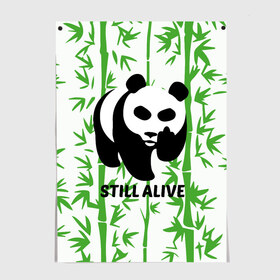 Постер с принтом Still Alive в Курске, 100% бумага
 | бумага, плотность 150 мг. Матовая, но за счет высокого коэффициента гладкости имеет небольшой блеск и дает на свету блики, но в отличии от глянцевой бумаги не покрыта лаком | alive | bamboo | green | greenpeace | panga | peace | still | бамбук | грин | гринпис | живая | живой | зеленый | мир | панда | панды | пис