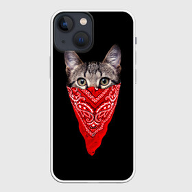 Чехол для iPhone 13 mini с принтом Gangsta Cat в Курске,  |  | cat | cats | gangsta | kitten | kitty | pussy | гангстер | кот | котенок | котик | котики | коты | котята | кошка | кошки | платок