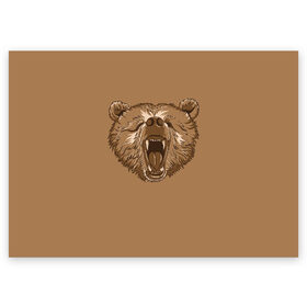 Поздравительная открытка с принтом Бурый Медведь в Курске, 100% бумага | плотность бумаги 280 г/м2, матовая, на обратной стороне линовка и место для марки
 | Тематика изображения на принте: bear | bears | brown | russia | russian | бурый | коричневый | косматый | лапы | медведи | медведь | россия | русский | хвост | хищник