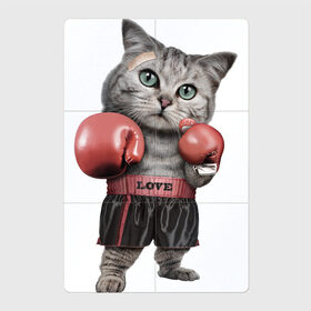 Магнитный плакат 2Х3 с принтом Кот боксёр в Курске, Полимерный материал с магнитным слоем | 6 деталей размером 9*9 см | боец | бокс | боксёр | кот | котёнок | кошак | кошка | кулак | спорт | шорты
