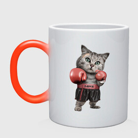 Кружка хамелеон с принтом Кот боксёр в Курске, керамика | меняет цвет при нагревании, емкость 330 мл | боец | бокс | боксёр | кот | котёнок | кошак | кошка | кулак | спорт | шорты