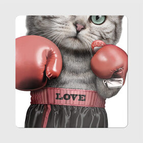 Магнит виниловый Квадрат с принтом Кот боксёр в Курске, полимерный материал с магнитным слоем | размер 9*9 см, закругленные углы | боец | бокс | боксёр | кот | котёнок | кошак | кошка | кулак | спорт | шорты