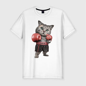 Мужская футболка премиум с принтом Кот боксёр в Курске, 92% хлопок, 8% лайкра | приталенный силуэт, круглый вырез ворота, длина до линии бедра, короткий рукав | боец | бокс | боксёр | кот | котёнок | кошак | кошка | кулак | спорт | шорты