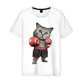 Мужская футболка хлопок с принтом Кот боксёр в Курске, 100% хлопок | прямой крой, круглый вырез горловины, длина до линии бедер, слегка спущенное плечо. | боец | бокс | боксёр | кот | котёнок | кошак | кошка | кулак | спорт | шорты