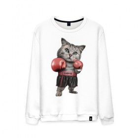 Мужской свитшот хлопок с принтом Кот боксёр в Курске, 100% хлопок |  | боец | бокс | боксёр | кот | котёнок | кошак | кошка | кулак | спорт | шорты