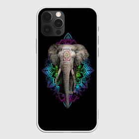 Чехол для iPhone 12 Pro Max с принтом Индийский Слон в Курске, Силикон |  | Тематика изображения на принте: africa | elephant | elephants | india | ornament | pattern | skin | tusks | африка | бивни | индия | кожа | орнамент | слон | слоненок | слоник | слоники | слоны | слонята | узор | хобот