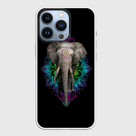 Чехол для iPhone 13 Pro с принтом Индийский Слон в Курске,  |  | Тематика изображения на принте: africa | elephant | elephants | india | ornament | pattern | skin | tusks | африка | бивни | индия | кожа | орнамент | слон | слоненок | слоник | слоники | слоны | слонята | узор | хобот