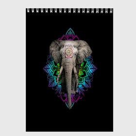 Скетчбук с принтом Индийский Слон в Курске, 100% бумага
 | 48 листов, плотность листов — 100 г/м2, плотность картонной обложки — 250 г/м2. Листы скреплены сверху удобной пружинной спиралью | africa | elephant | elephants | india | ornament | pattern | skin | tusks | африка | бивни | индия | кожа | орнамент | слон | слоненок | слоник | слоники | слоны | слонята | узор | хобот
