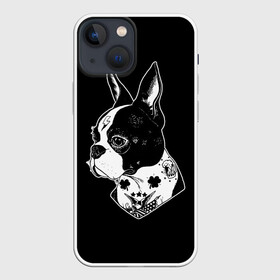 Чехол для iPhone 13 mini с принтом Французский Бульдог в Курске,  |  | Тематика изображения на принте: bulldog | dog | dogs | franch | бульдог | пес | псы | собака | собакен | собаки | собачка | собачки | французский | щенки | щенок | щеночек | щеночки