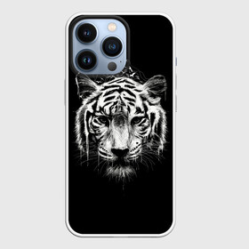 Чехол для iPhone 13 Pro с принтом Dark Tiger в Курске,  |  | africa | creepy | dark | desert | predator | scary | tiger | tigers | африка | жуткий | мрачный | пустыня | страшный | тигр | тигренок | тигрица | тигрицы | тигры | тигрята | хищник