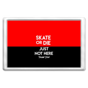 Магнит 45*70 с принтом SKATE OR DIE в Курске, Пластик | Размер: 78*52 мм; Размер печати: 70*45 | Тематика изображения на принте: skate | sport | гонка | скейт | скейтер | спорт | спортивный | череп