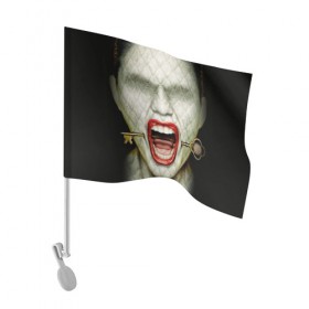 Флаг для автомобиля с принтом American Horror Story в Курске, 100% полиэстер | Размер: 30*21 см | ahs | american horror story | hotel | американская история ужасов | губы | ключ | лицо