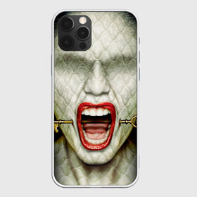 Чехол для iPhone 12 Pro Max с принтом American Horror Story в Курске, Силикон |  | ahs | american horror story | hotel | американская история ужасов | губы | ключ | лицо
