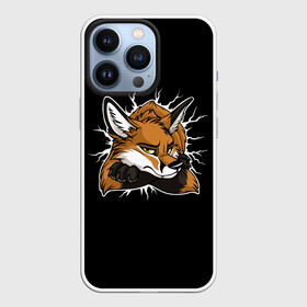 Чехол для iPhone 13 Pro с принтом Лис Уверен в Себе в Курске,  |  | cute | fox | foxes | ginger | tail | забавная | лис | лиса | лисица | лисицы | лисичка | лисички | лисы | милая | рыжая | рыжие | смешная | фыр | хвост | хвосты