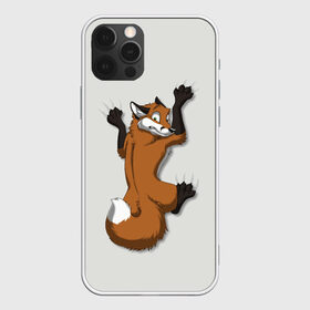 Чехол для iPhone 12 Pro Max с принтом Лис Вцепился в Курске, Силикон |  | cute | fox | foxes | ginger | tail | вцепился | забавная | капаркается | лис | лиса | лисица | лисицы | лисичка | лисички | лисы | милая | рыжая | рыжие | смешная | фыр | хвост | хвосты