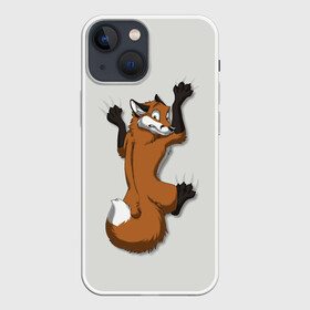 Чехол для iPhone 13 mini с принтом Лис Вцепился в Курске,  |  | cute | fox | foxes | ginger | tail | вцепился | забавная | капаркается | лис | лиса | лисица | лисицы | лисичка | лисички | лисы | милая | рыжая | рыжие | смешная | фыр | хвост | хвосты